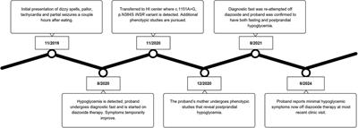 Case Report: Functional characterization of a missense variant in INSR associated with hypoketotic hypoglycemia